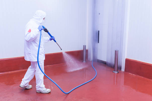 Best Driveway Pressure Washing  in Century, FL