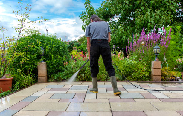 Best Driveway Pressure Washing  in Century, FL