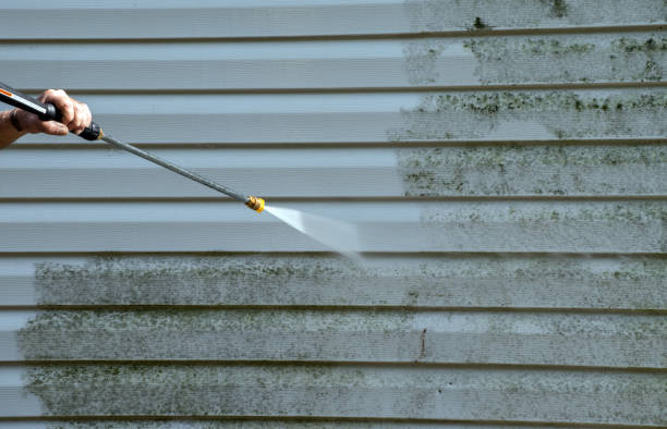 Best Solar Panel Cleaning  in Century, FL