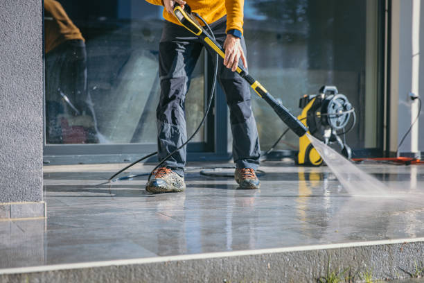 Best Roof Washing  in Century, FL